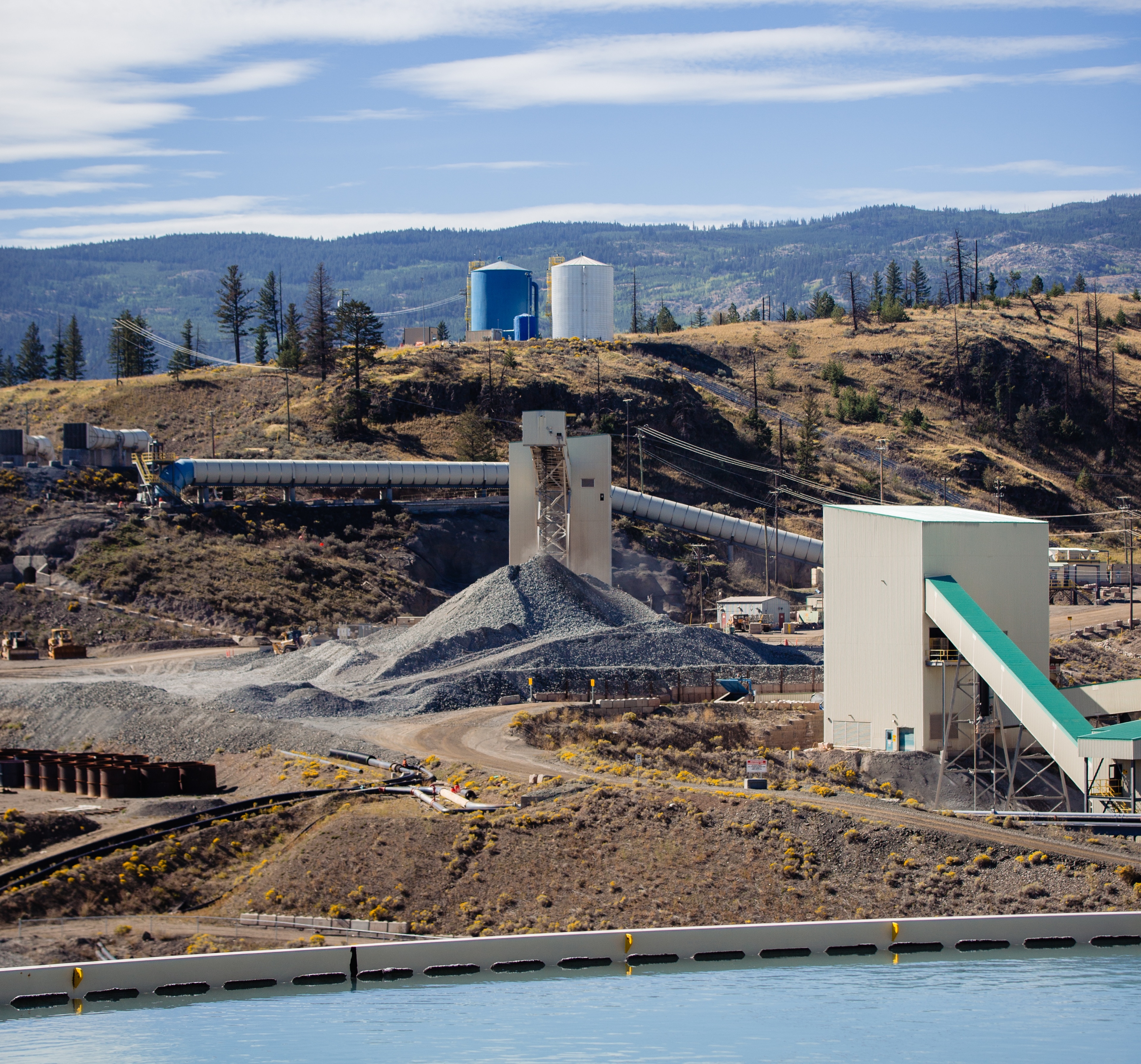 New Gold2024 7753 copie